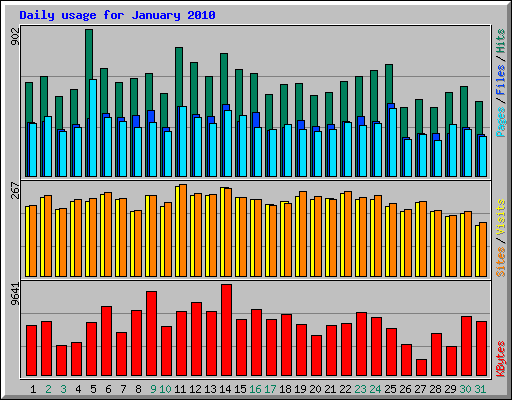 Daily usage for January 2010
