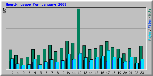 Hourly usage for January 2009