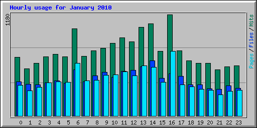 Hourly usage for January 2010