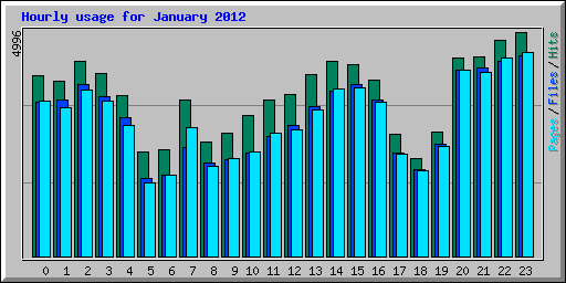 Hourly usage for January 2012